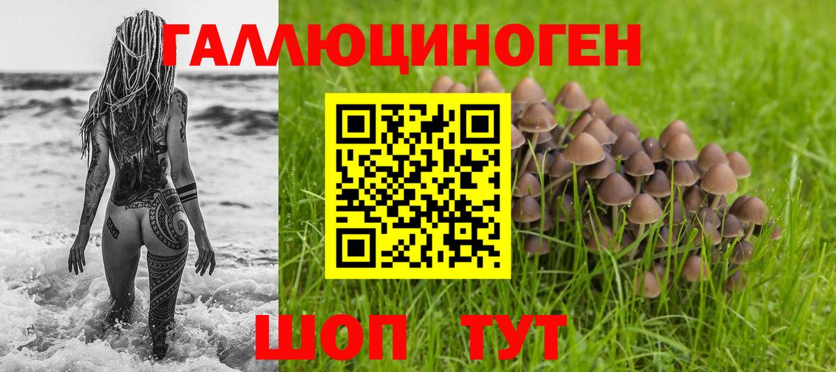 Галлюциногенные грибы мицелий Абакан